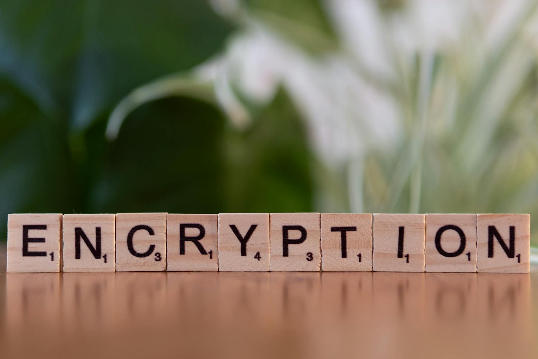 Supporting visual for X Rolls Out Encrypted DMs to All Users After 8-Month Premium Exclusivity, Signaling Platform Security Pivot